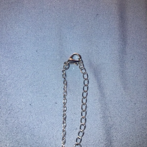 Oakland/Las Vegas Raiders Silver Shield Necklace - Black Enamel - Picture 3 of 4